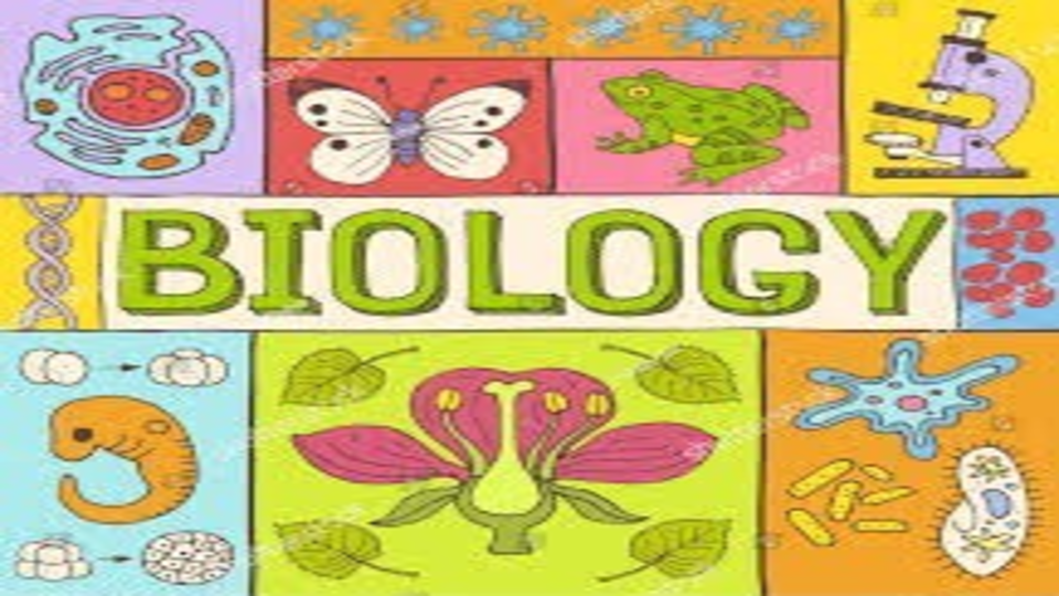 Biology KS3 Year/Grade 8 Yearly Course