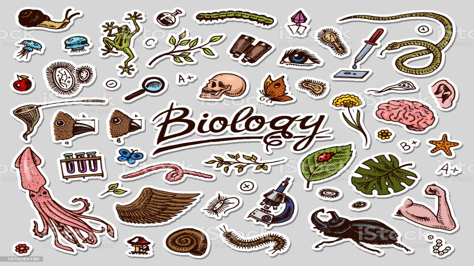Biology KS4 GCSE Year/Grade 10 – February