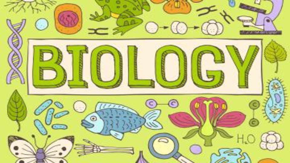 Biology KS3 Year/Grade 9 Yearly Course